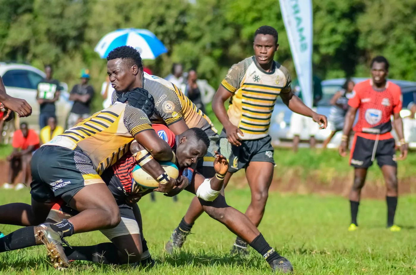 Rugby